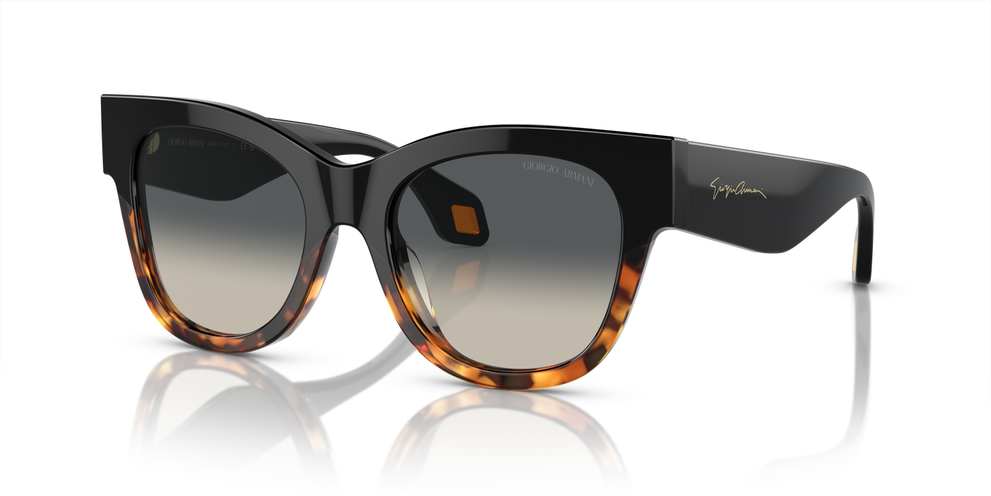 Giorgio Armani Sunglasses AR8195U 587519