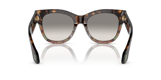 Giorgio Armani Sunglasses AR8195U 587932