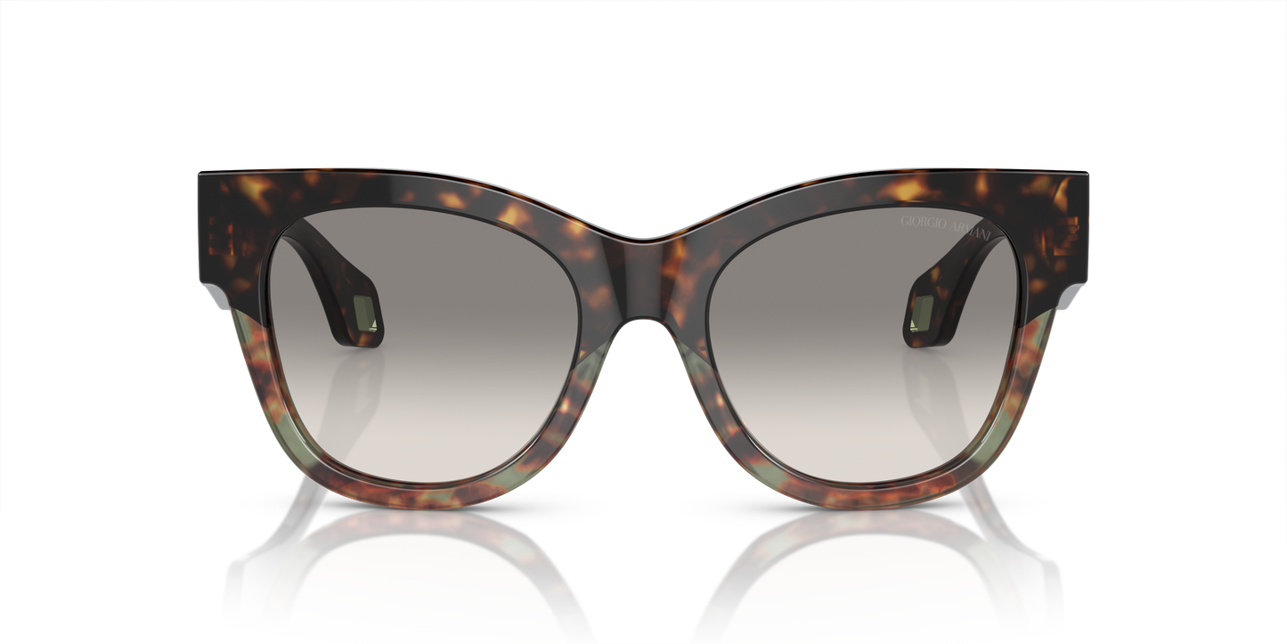Giorgio Armani Sunglasses AR8195U 587932