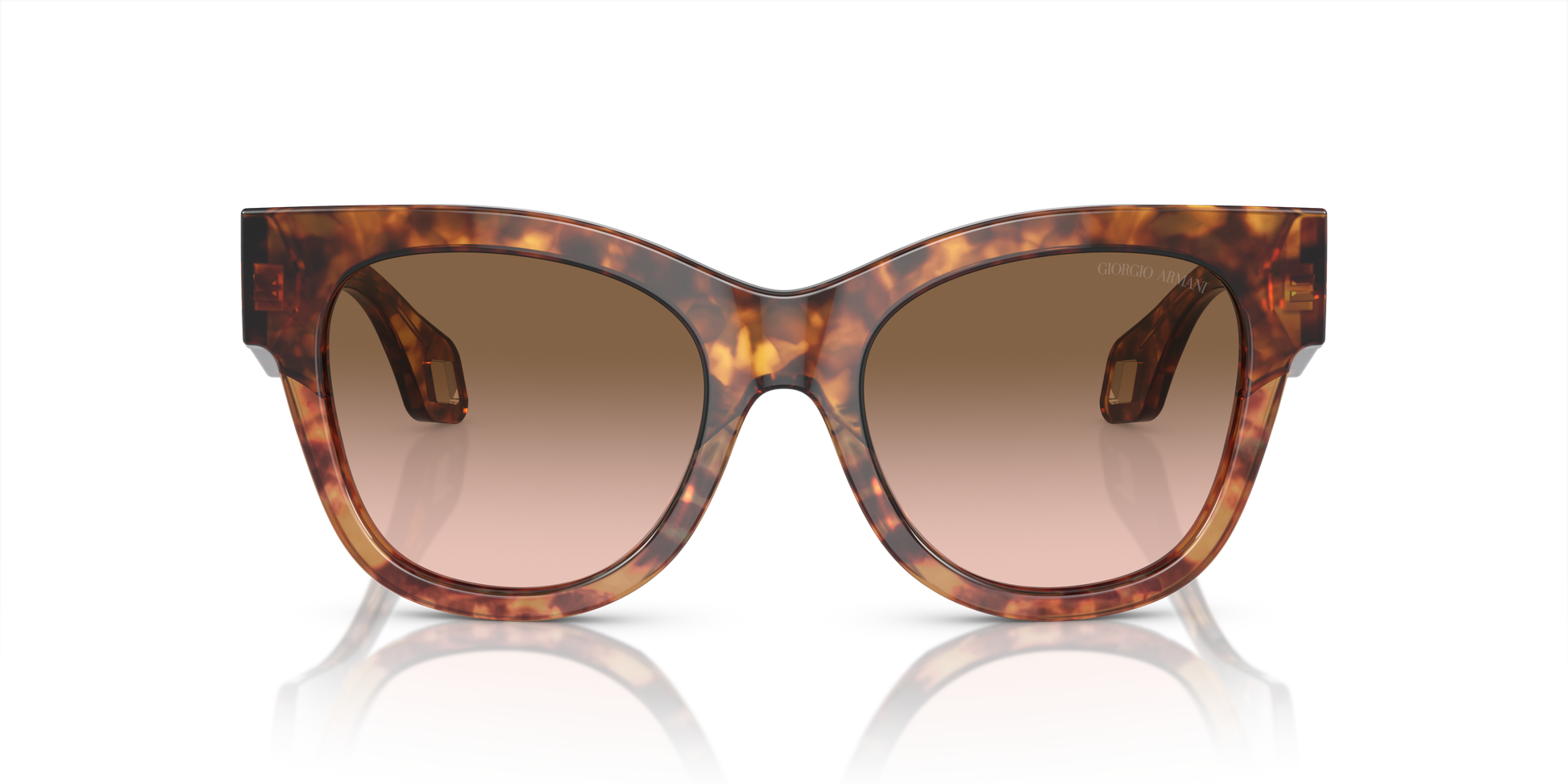 Giorgio Armani Sunglasses AR8195U 603351