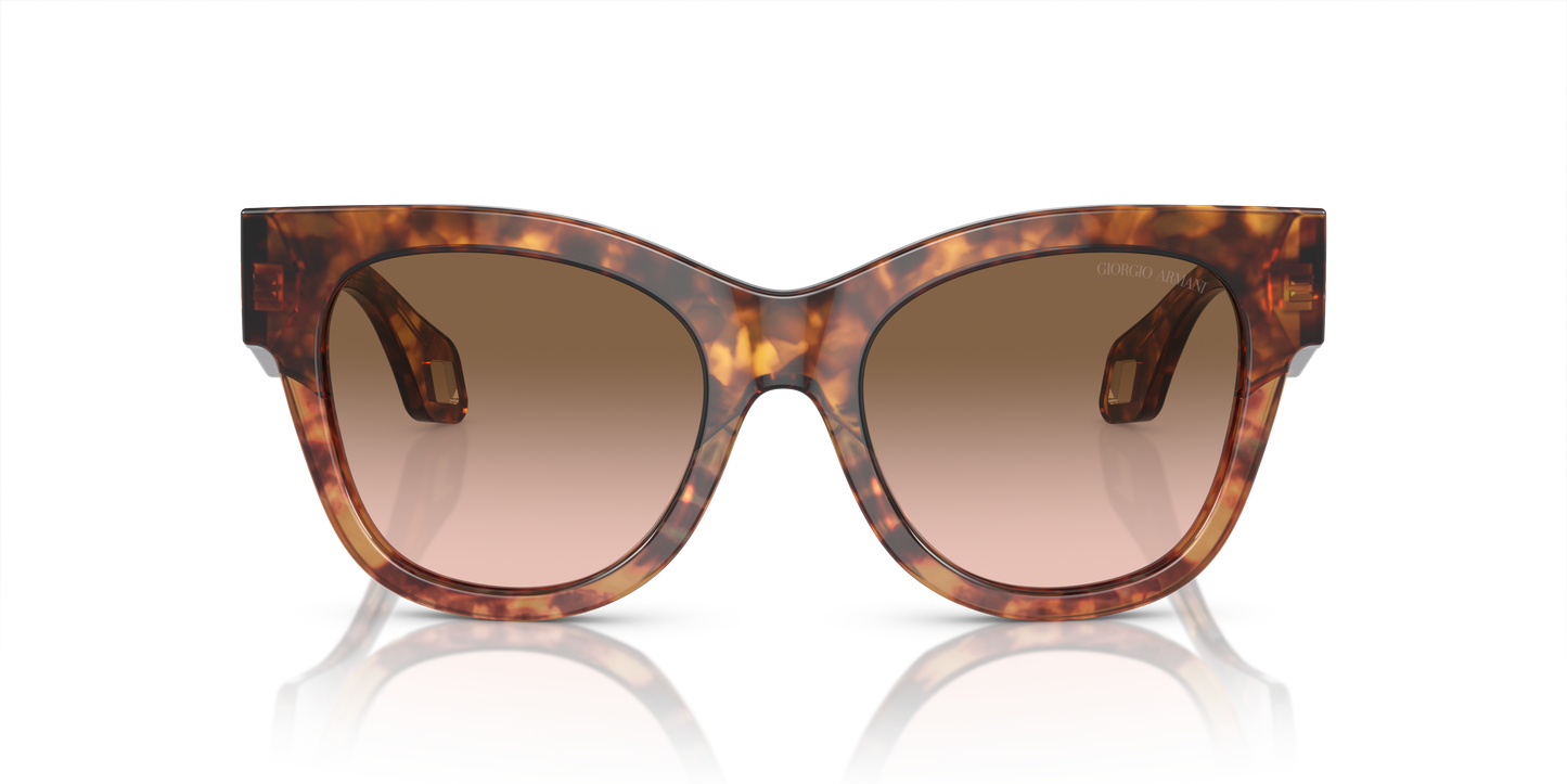 Giorgio Armani Sunglasses AR8195U 603351