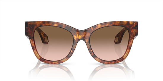 Giorgio Armani Sunglasses AR8195U 603351