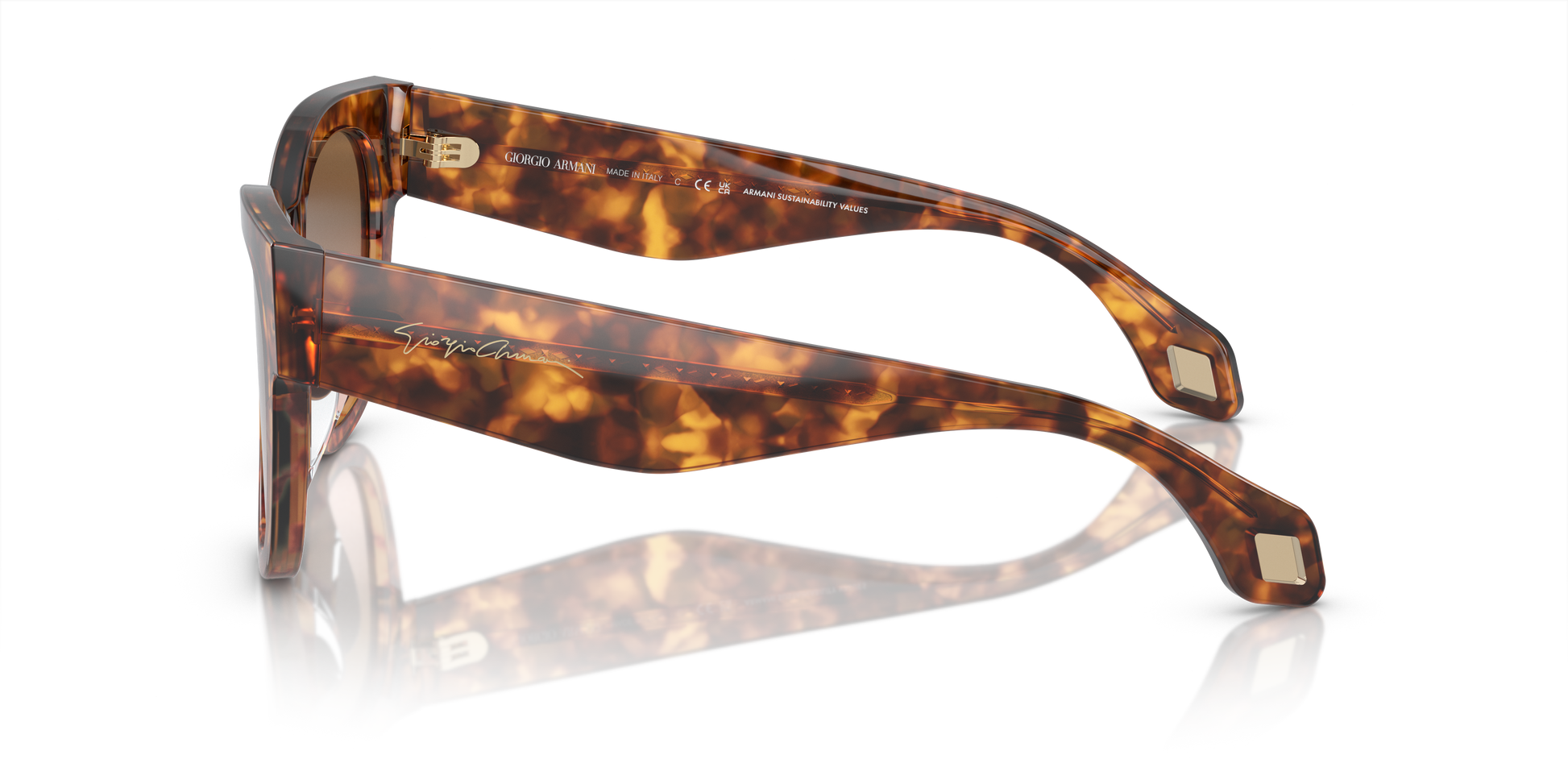 Giorgio Armani Sunglasses AR8195U 603351