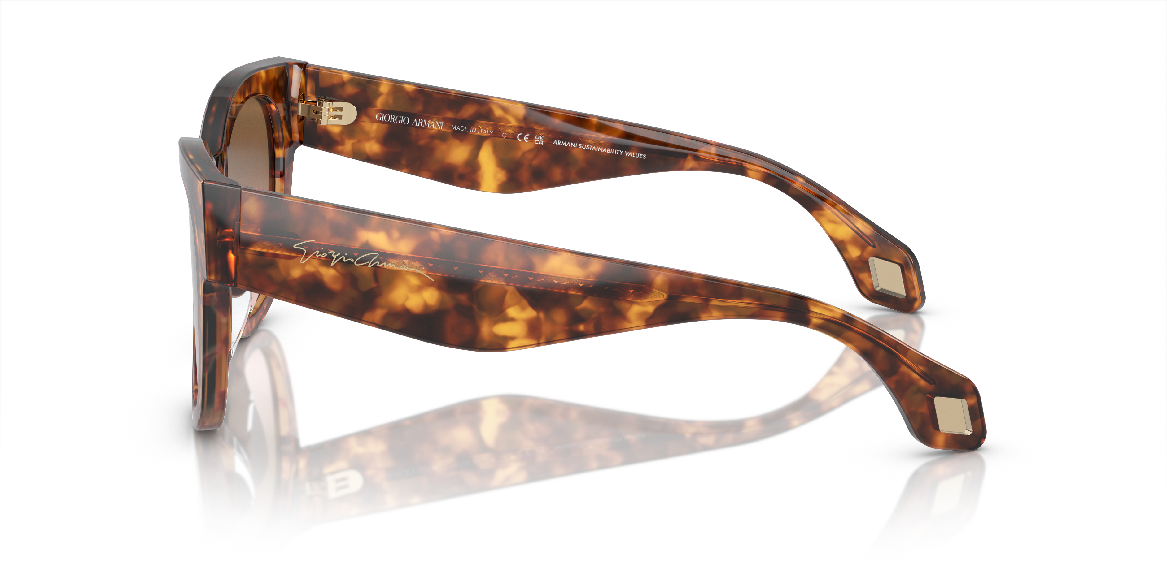 Giorgio Armani Sunglasses AR8195U 603351