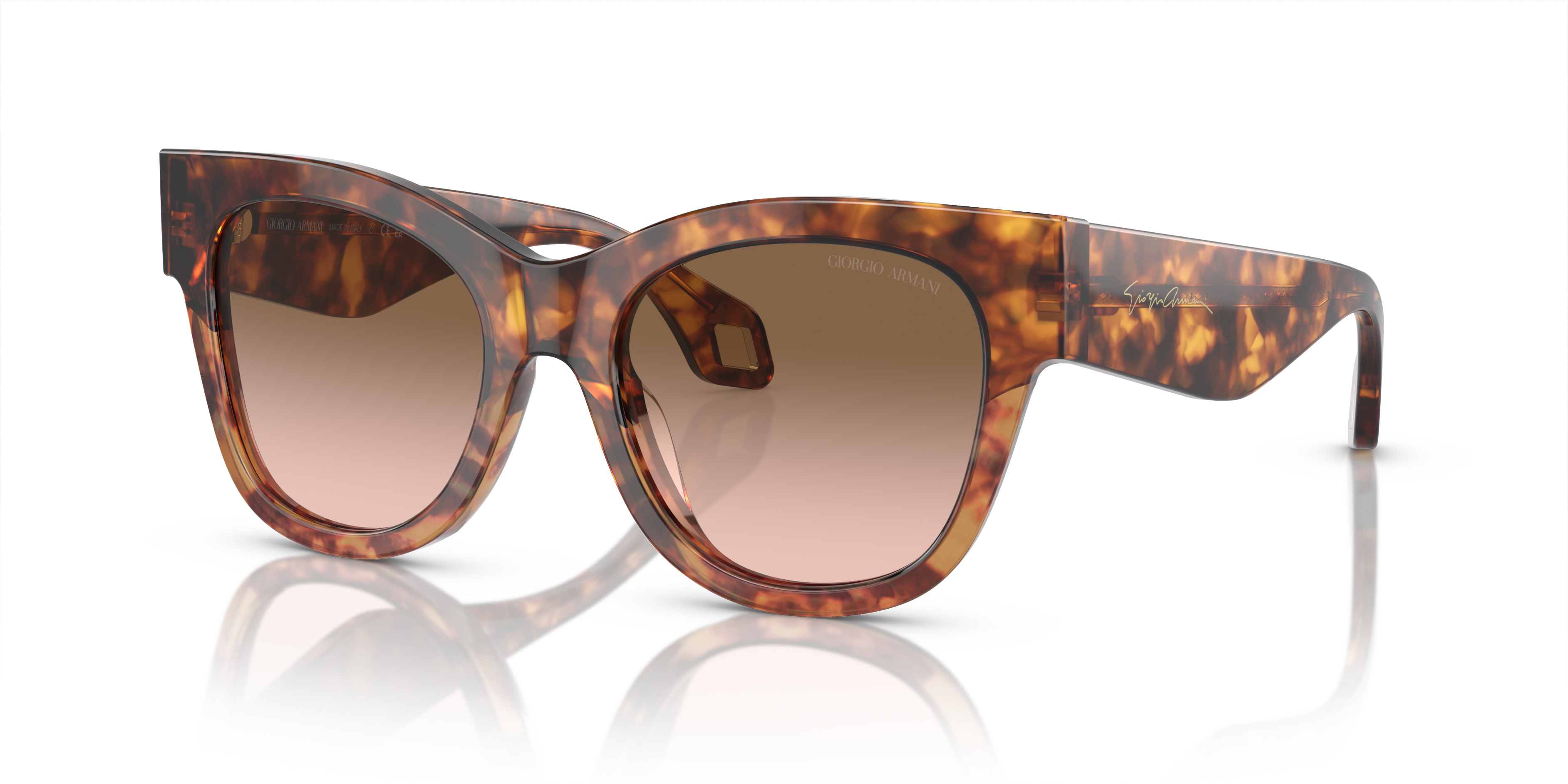 Giorgio Armani Sunglasses AR8195U 603351