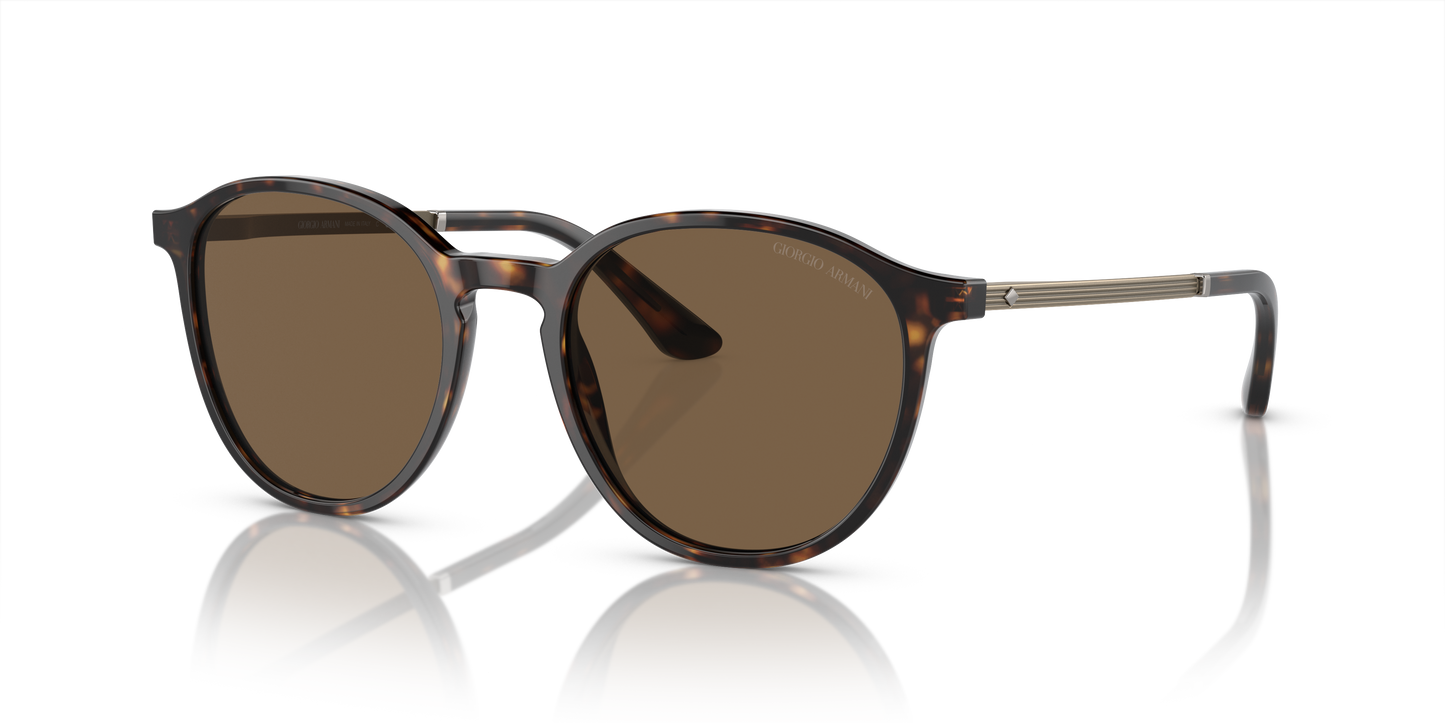 Giorgio Armani Sunglasses AR8196 502673