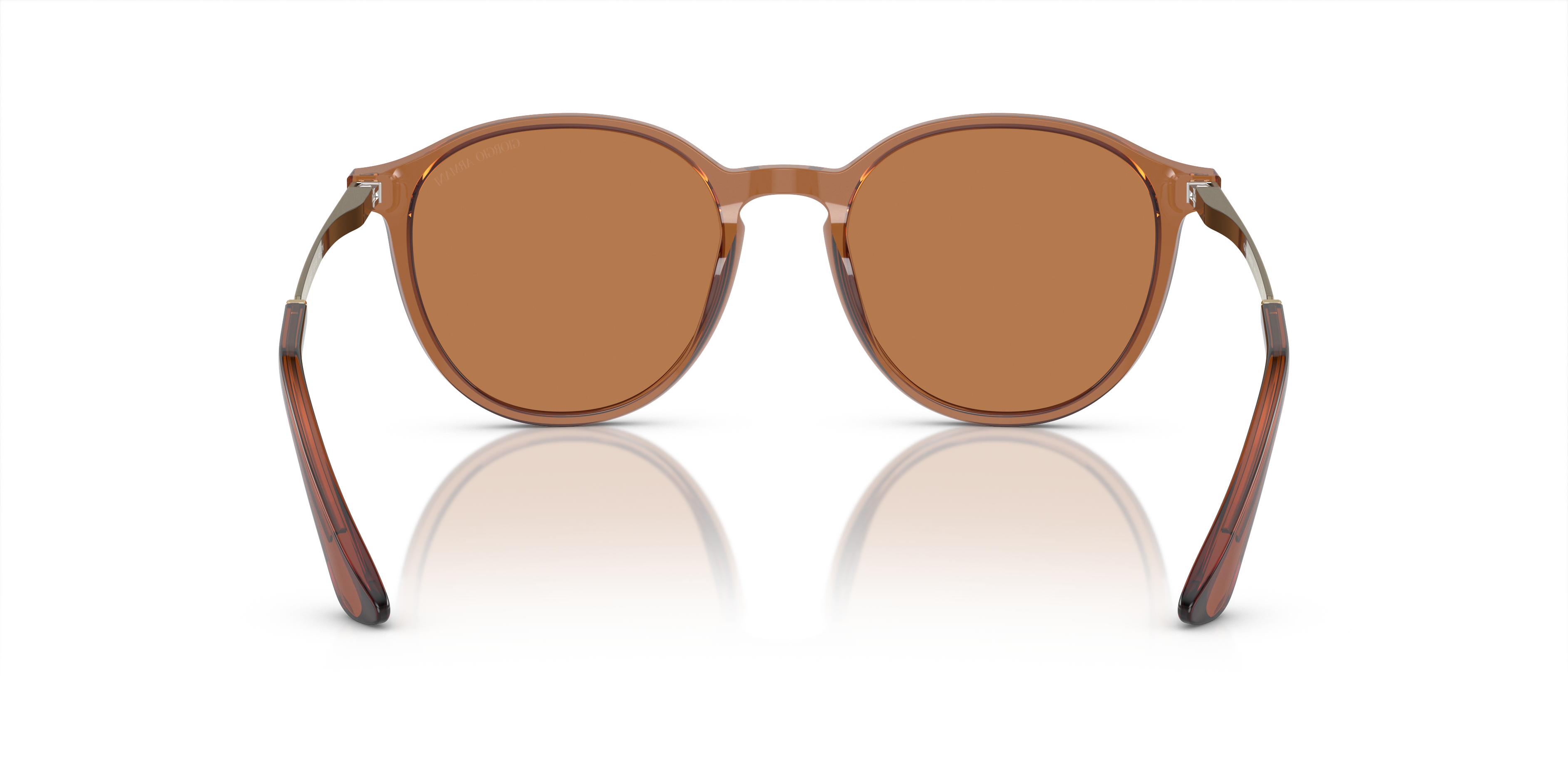 Giorgio Armani Sunglasses AR8196 604673