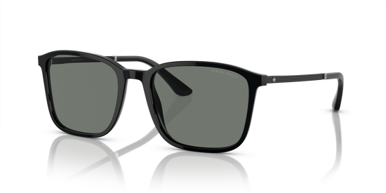 Giorgio Armani Sunglasses AR8197 5001/1