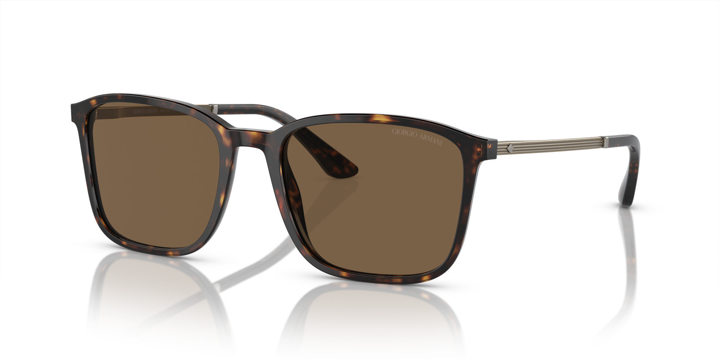 Giorgio Armani Sunglasses AR8197 502673