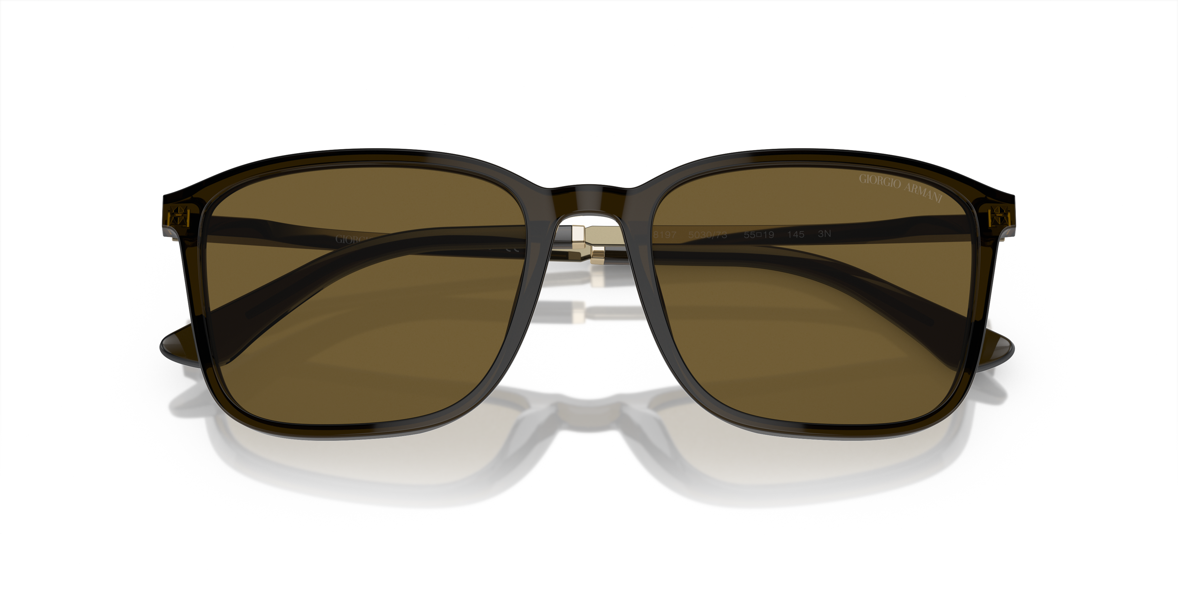 Giorgio Armani Sunglasses AR8197 503073