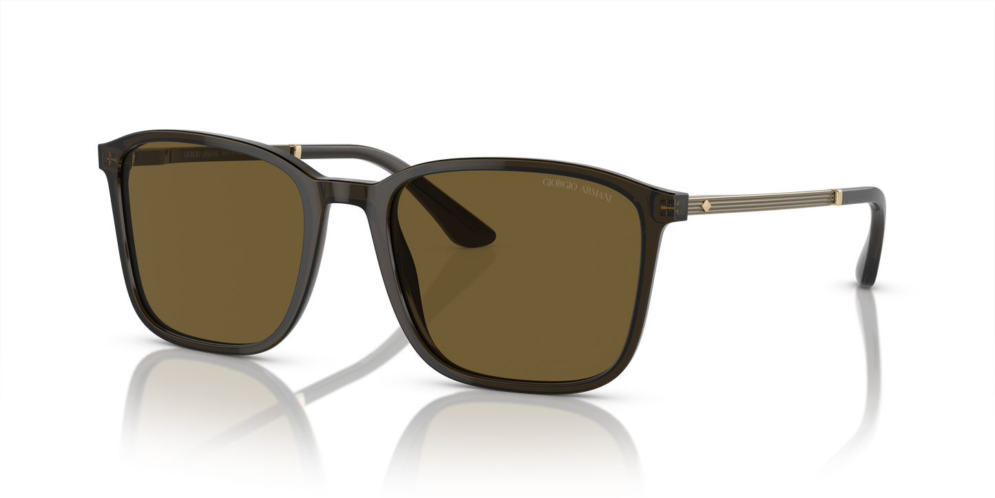 Giorgio Armani Sunglasses AR8197 503073