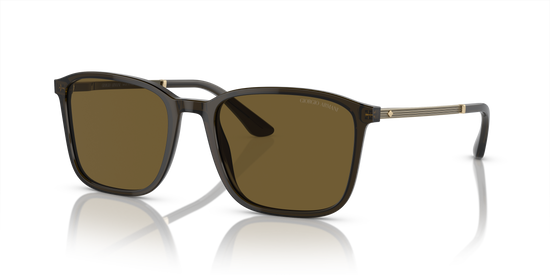 Giorgio Armani Sunglasses AR8197 503073