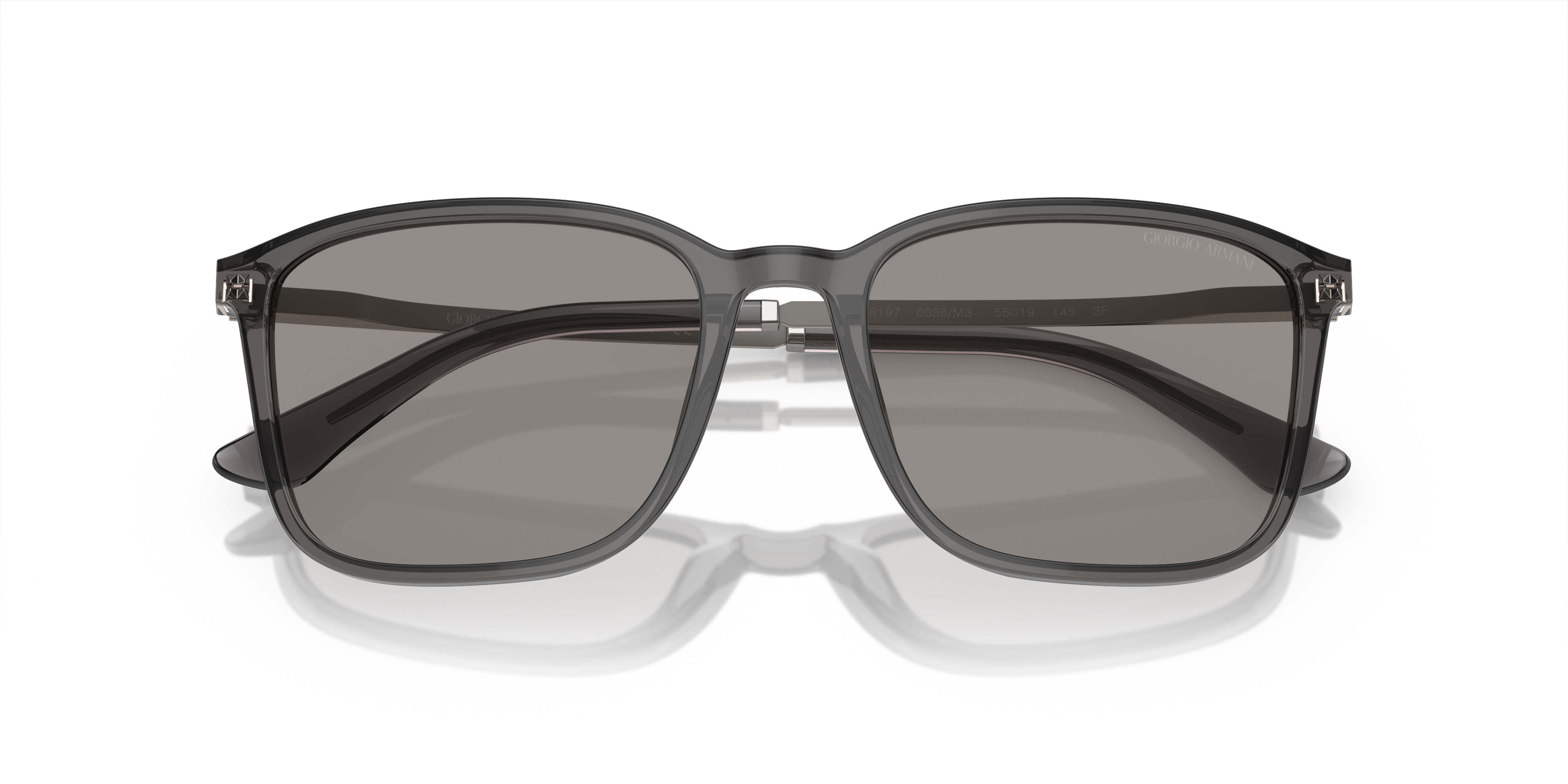 Giorgio Armani Sunglasses AR8197 6036M3