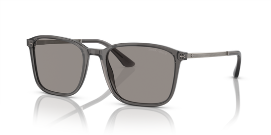 Giorgio Armani Sunglasses AR8197 6036M3
