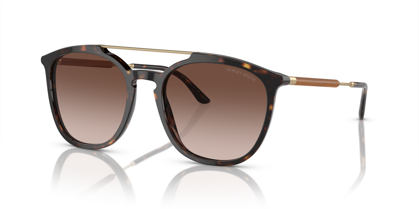 Giorgio Armani Sunglasses AR8198 502613