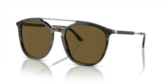 Giorgio Armani Sunglasses AR8198 603873