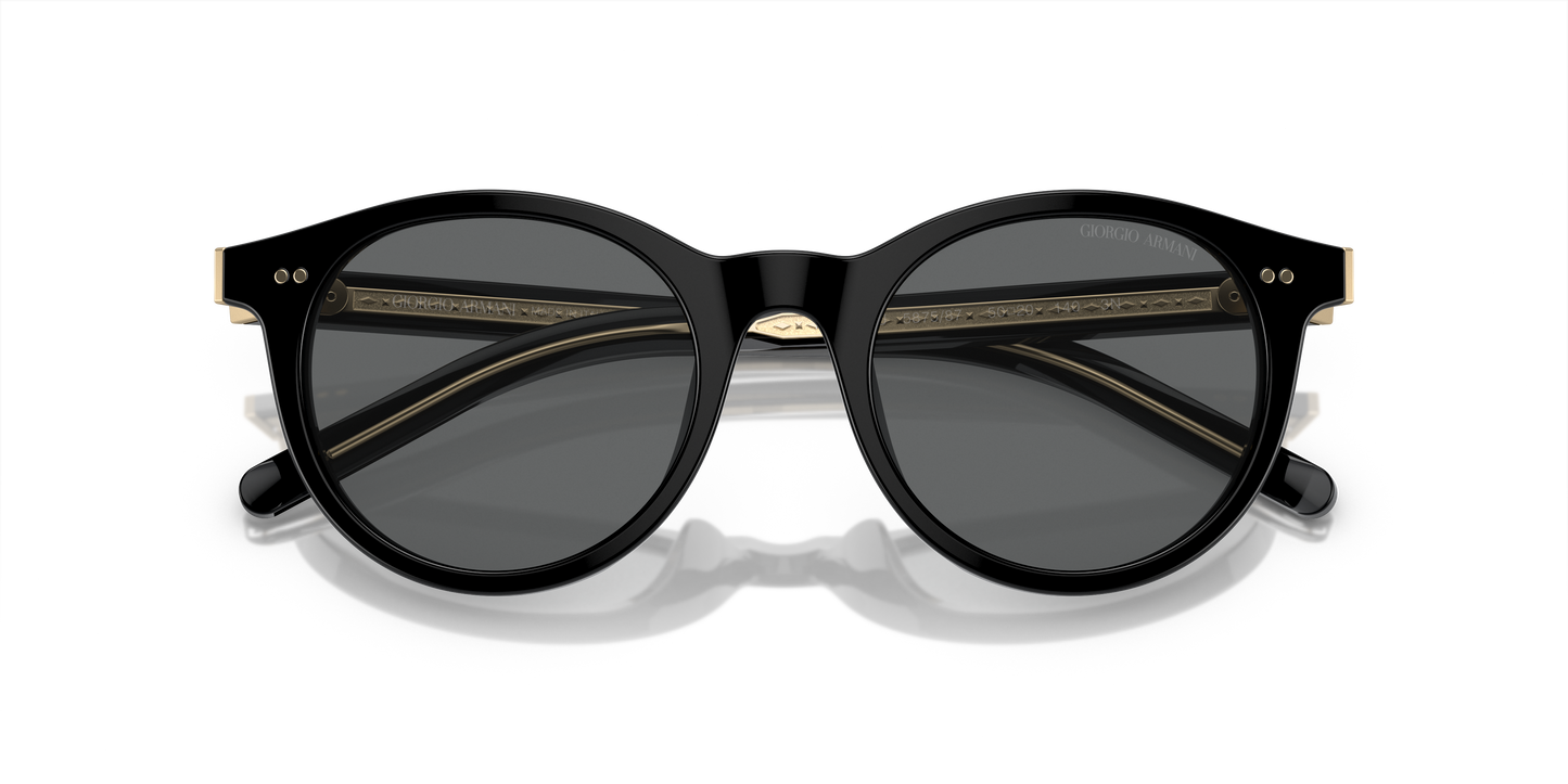 Giorgio Armani Sunglasses AR8199U 587587