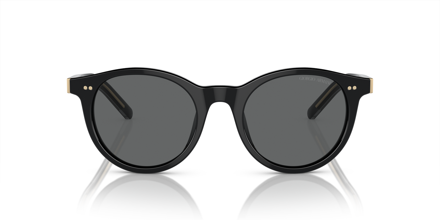 Giorgio Armani Sunglasses AR8199U 587587