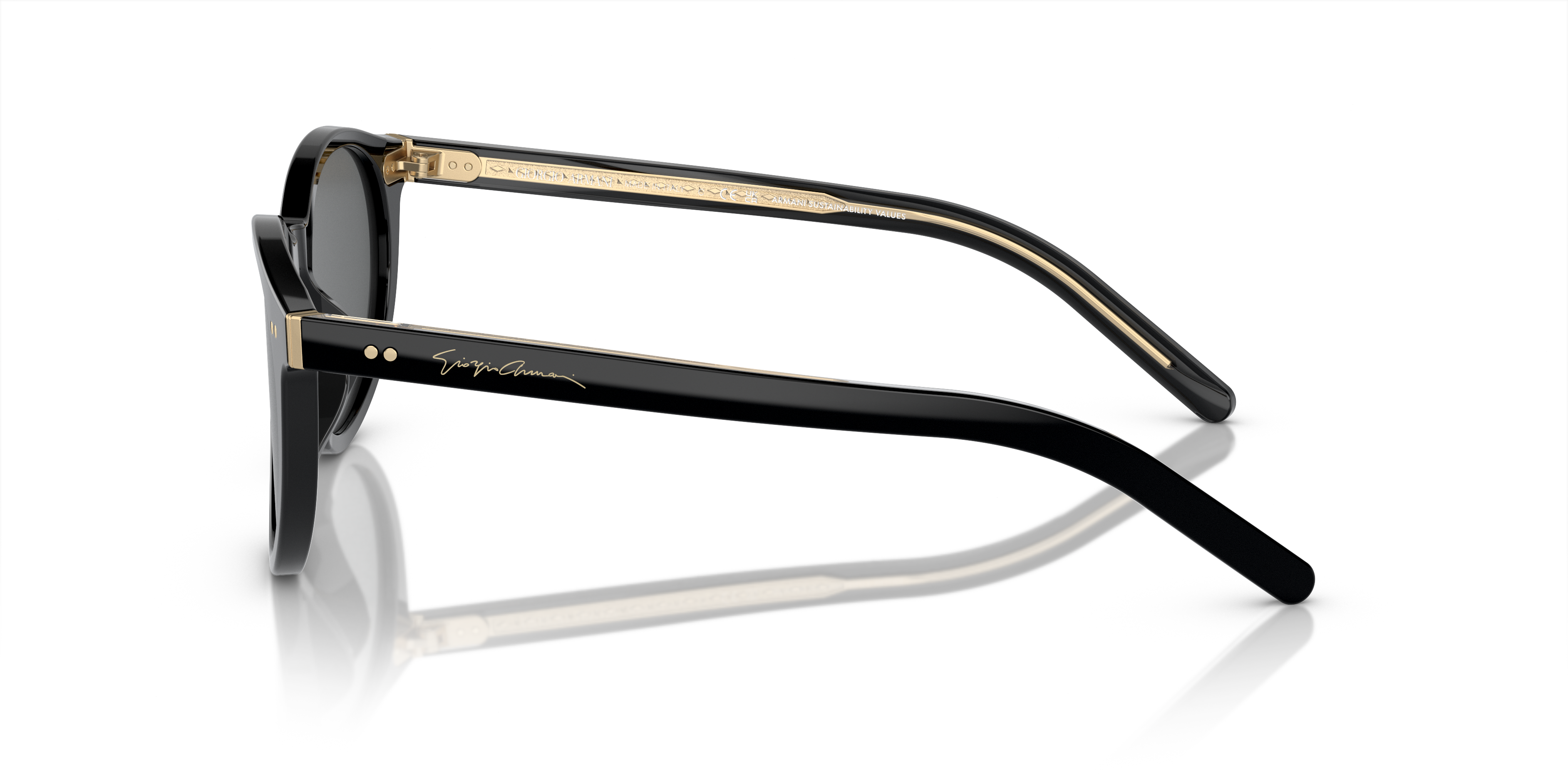 Giorgio Armani Sunglasses AR8199U 587587