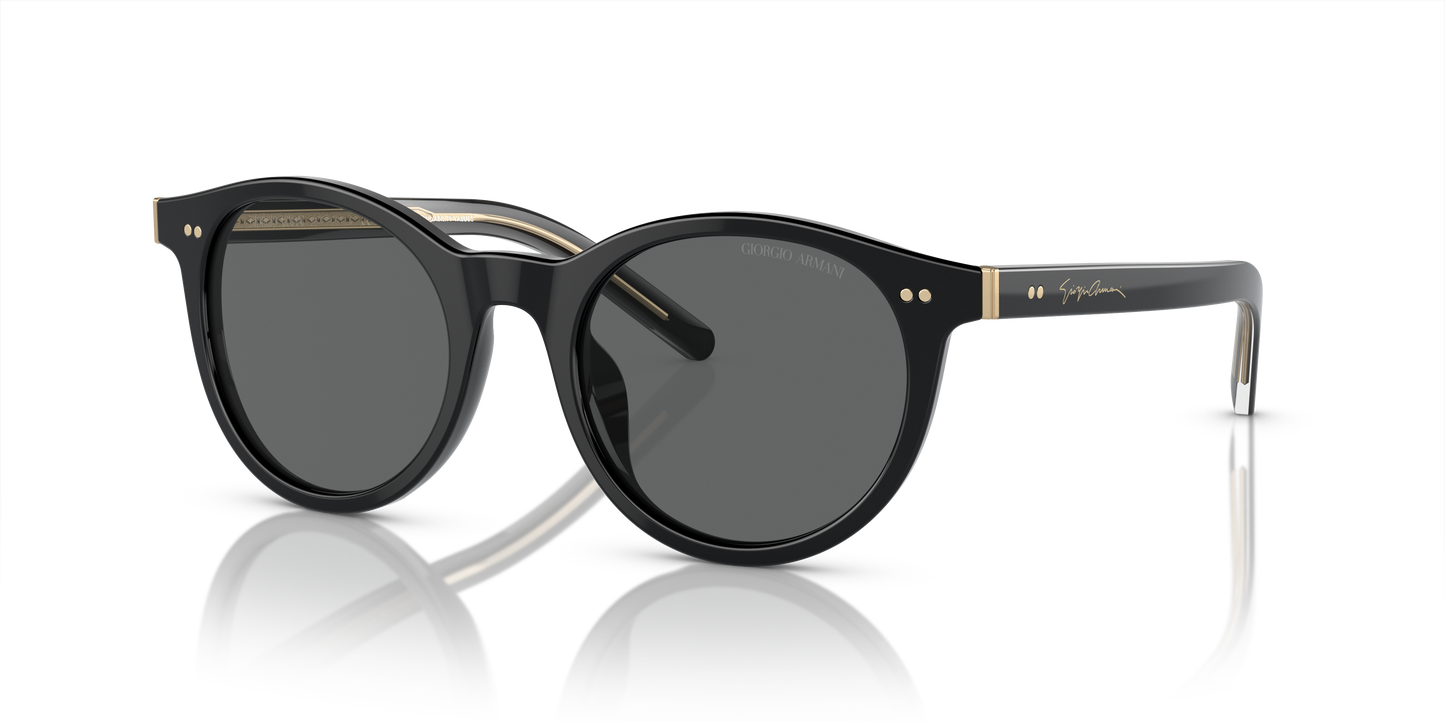 Giorgio Armani Sunglasses AR8199U 587587