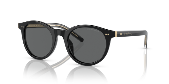 Giorgio Armani Sunglasses AR8199U 587587