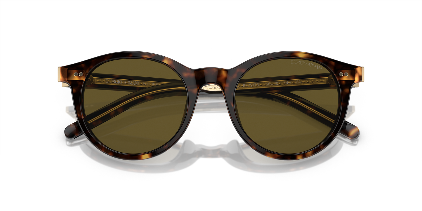 Giorgio Armani Sunglasses AR8199U 587973