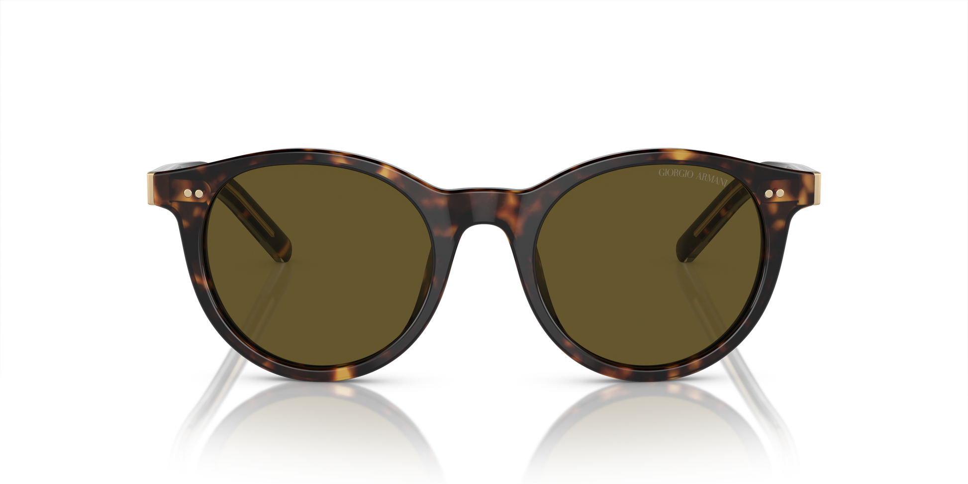 Giorgio Armani Sunglasses AR8199U 587973