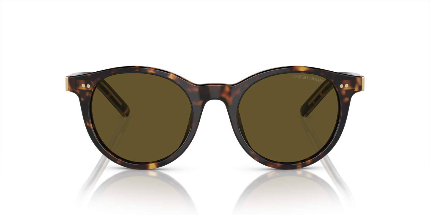 Giorgio Armani Sunglasses AR8199U 587973