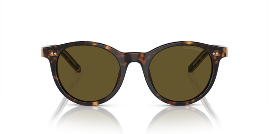 Giorgio Armani Sunglasses AR8199U 587973