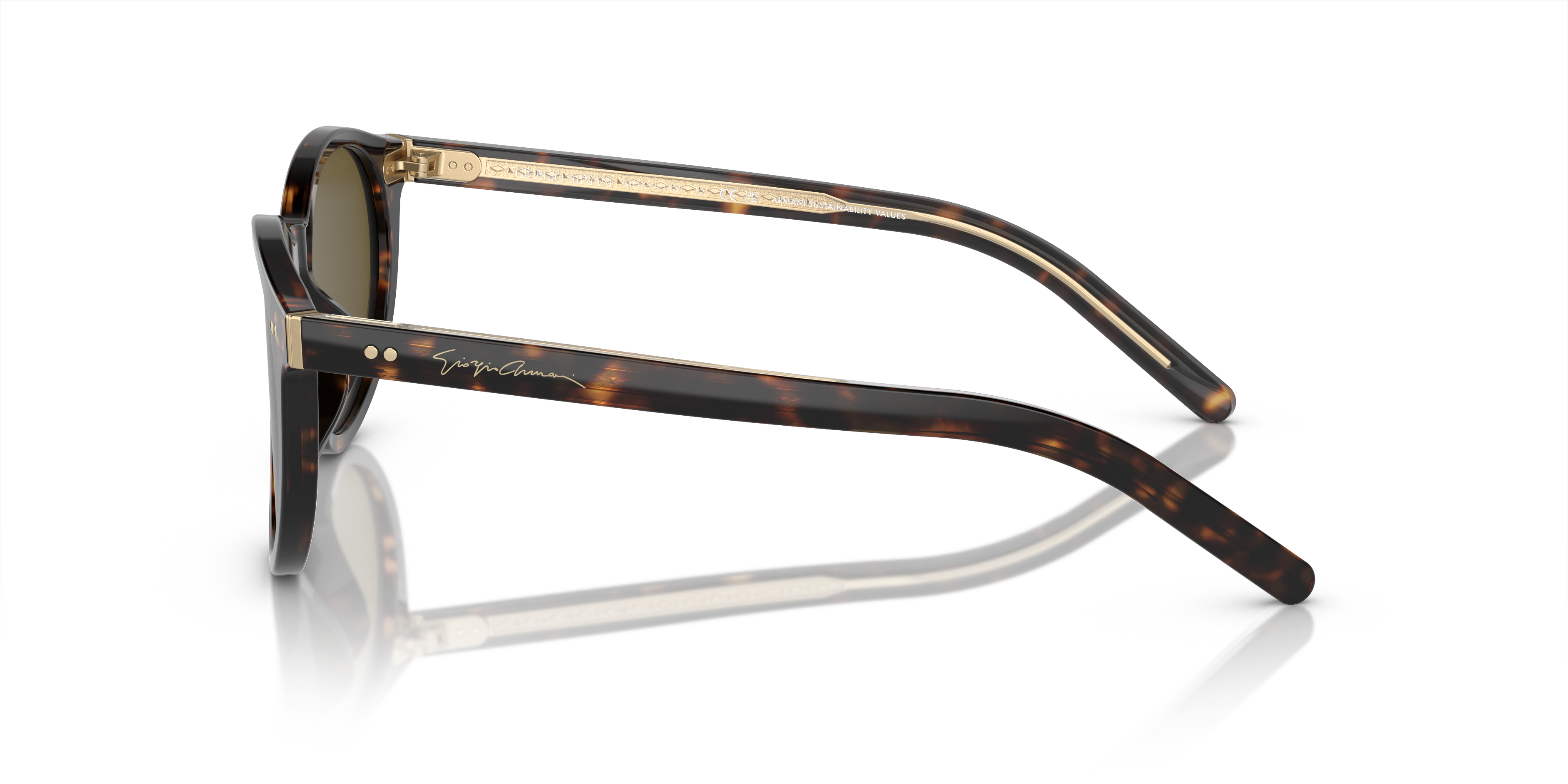 Giorgio Armani Sunglasses AR8199U 587973