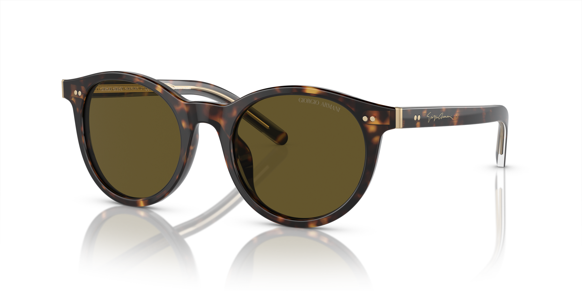 Giorgio Armani Sunglasses AR8199U 587973