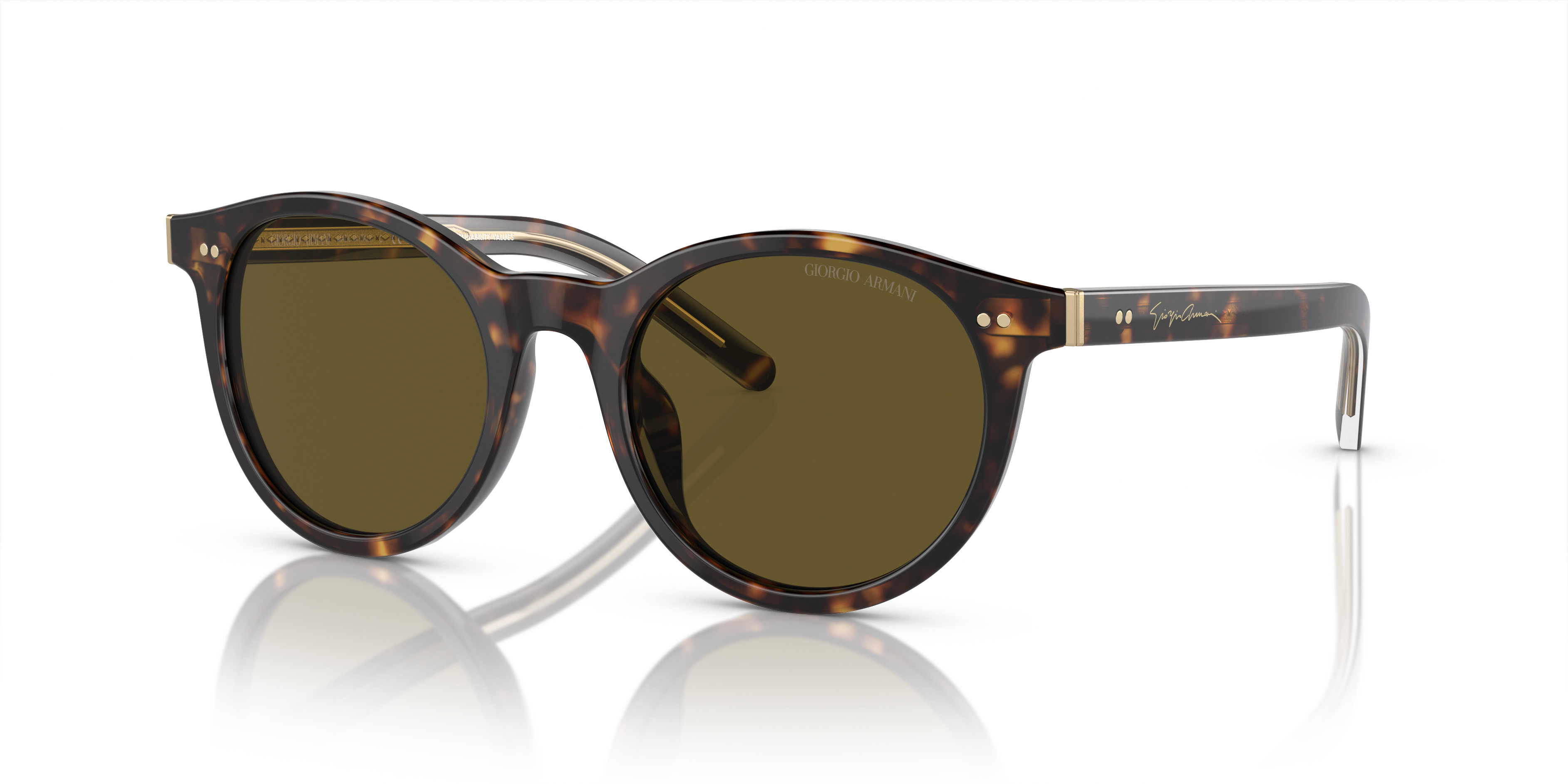 Giorgio Armani Sunglasses AR8199U 587973
