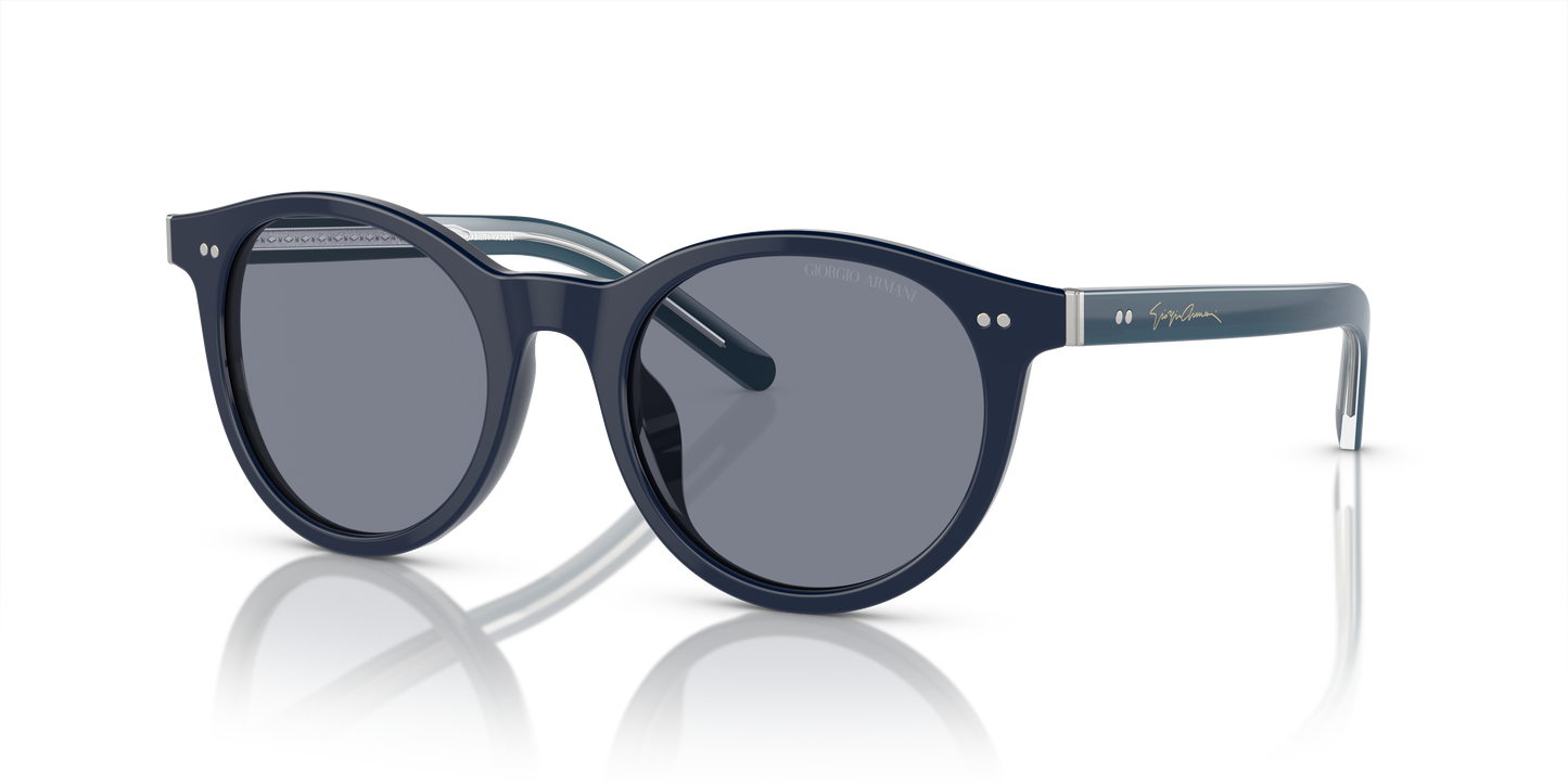 Giorgio Armani Sunglasses AR8199U 603919