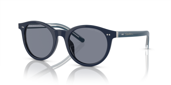 Giorgio Armani Sunglasses AR8199U 603919