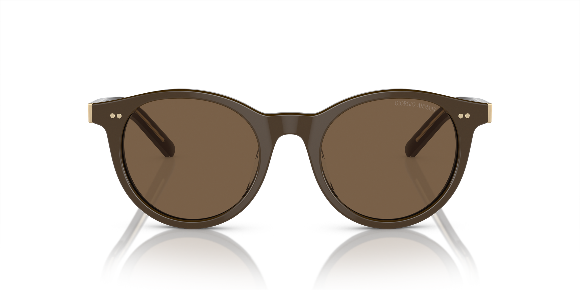 Giorgio Armani Sunglasses AR8199U 604073