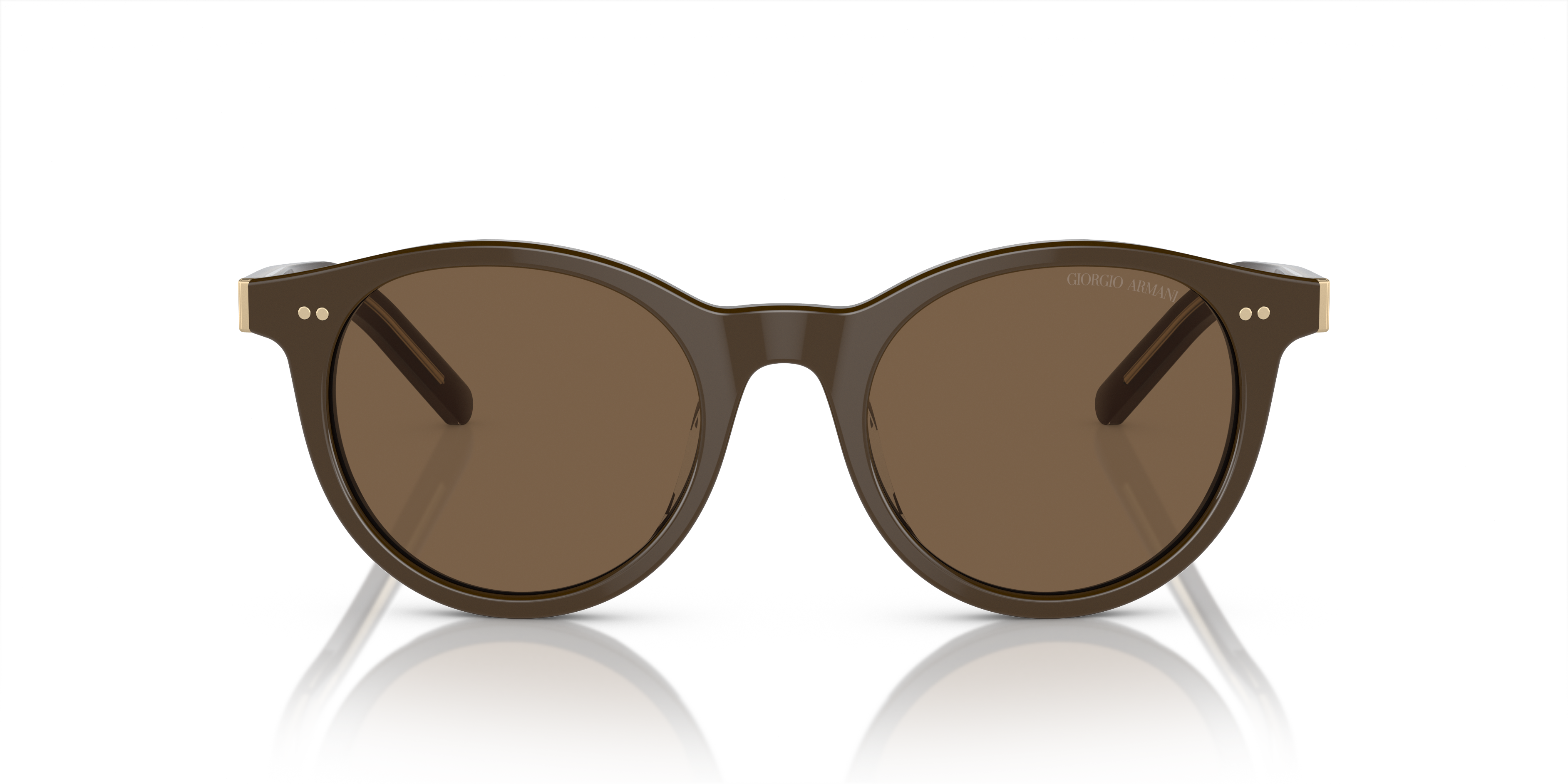 Giorgio Armani Sunglasses AR8199U 604073