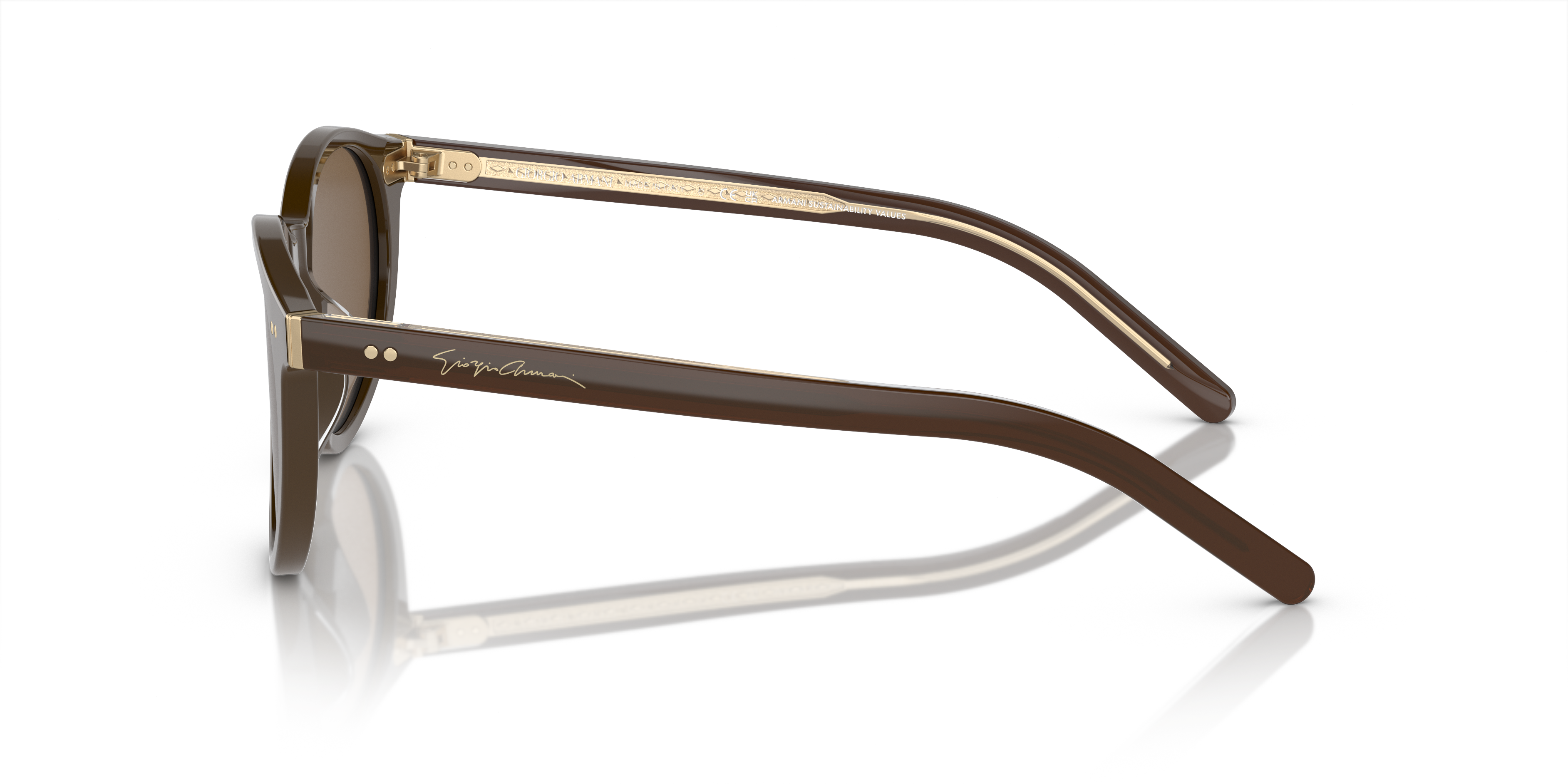 Giorgio Armani Sunglasses AR8199U 604073