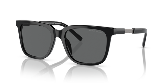 Giorgio Armani Sunglasses AR8202U 587587