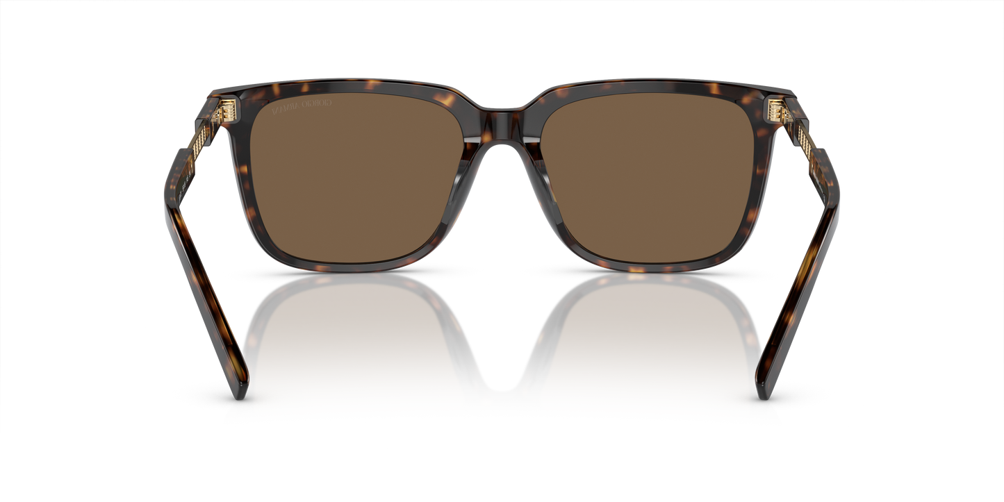 Giorgio Armani Sunglasses AR8202U 587973