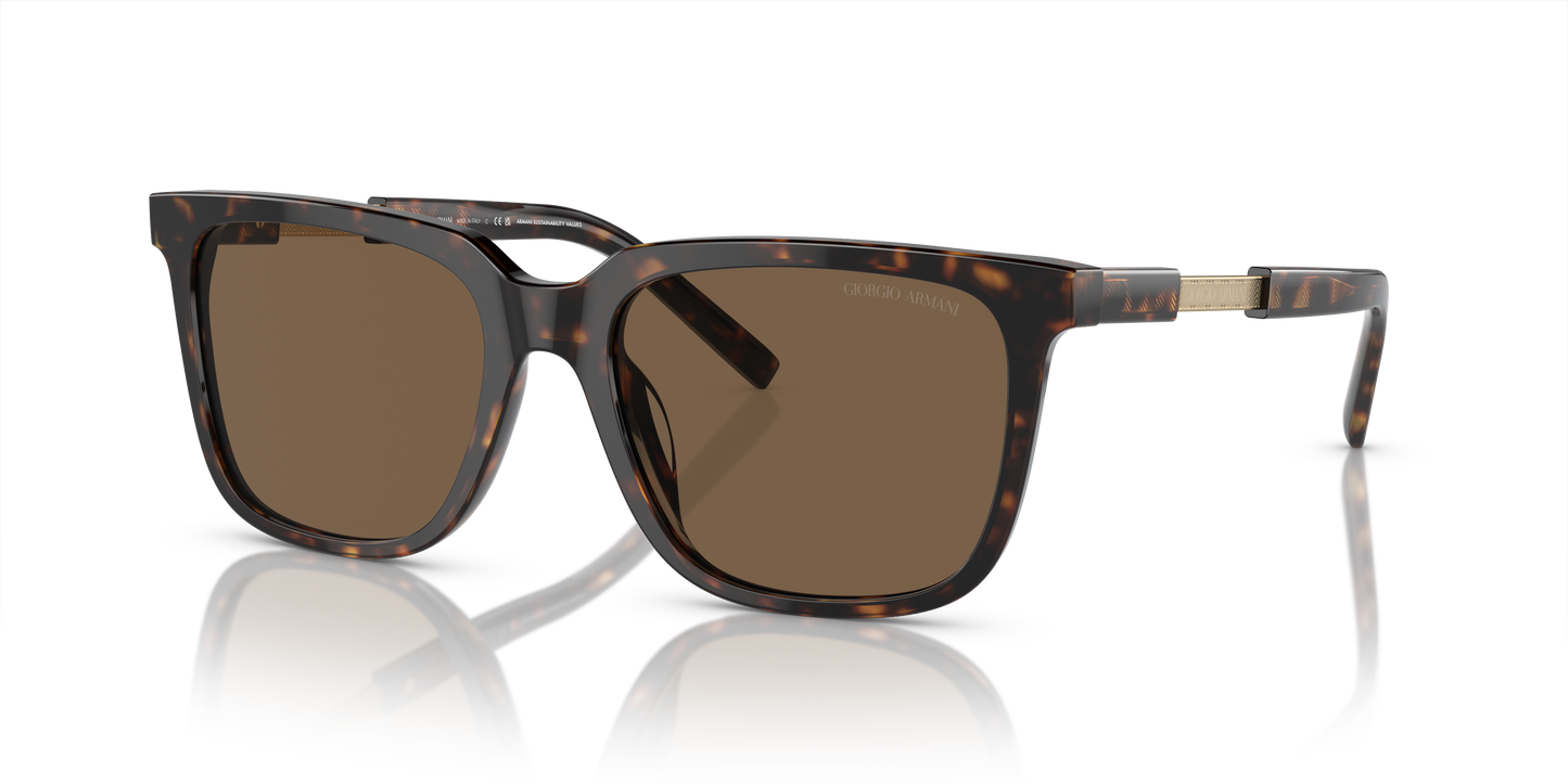 Giorgio Armani Sunglasses AR8202U 587973