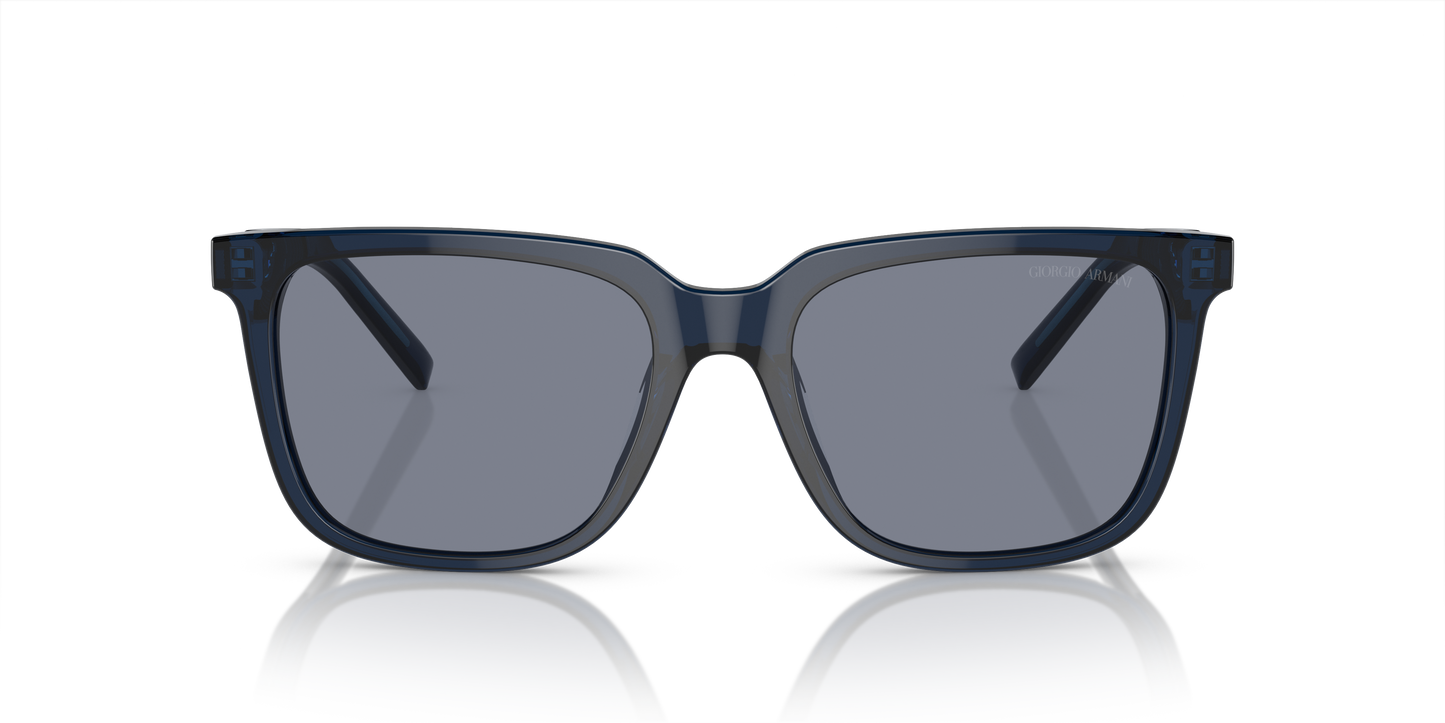 Giorgio Armani Sunglasses AR8202U 604719