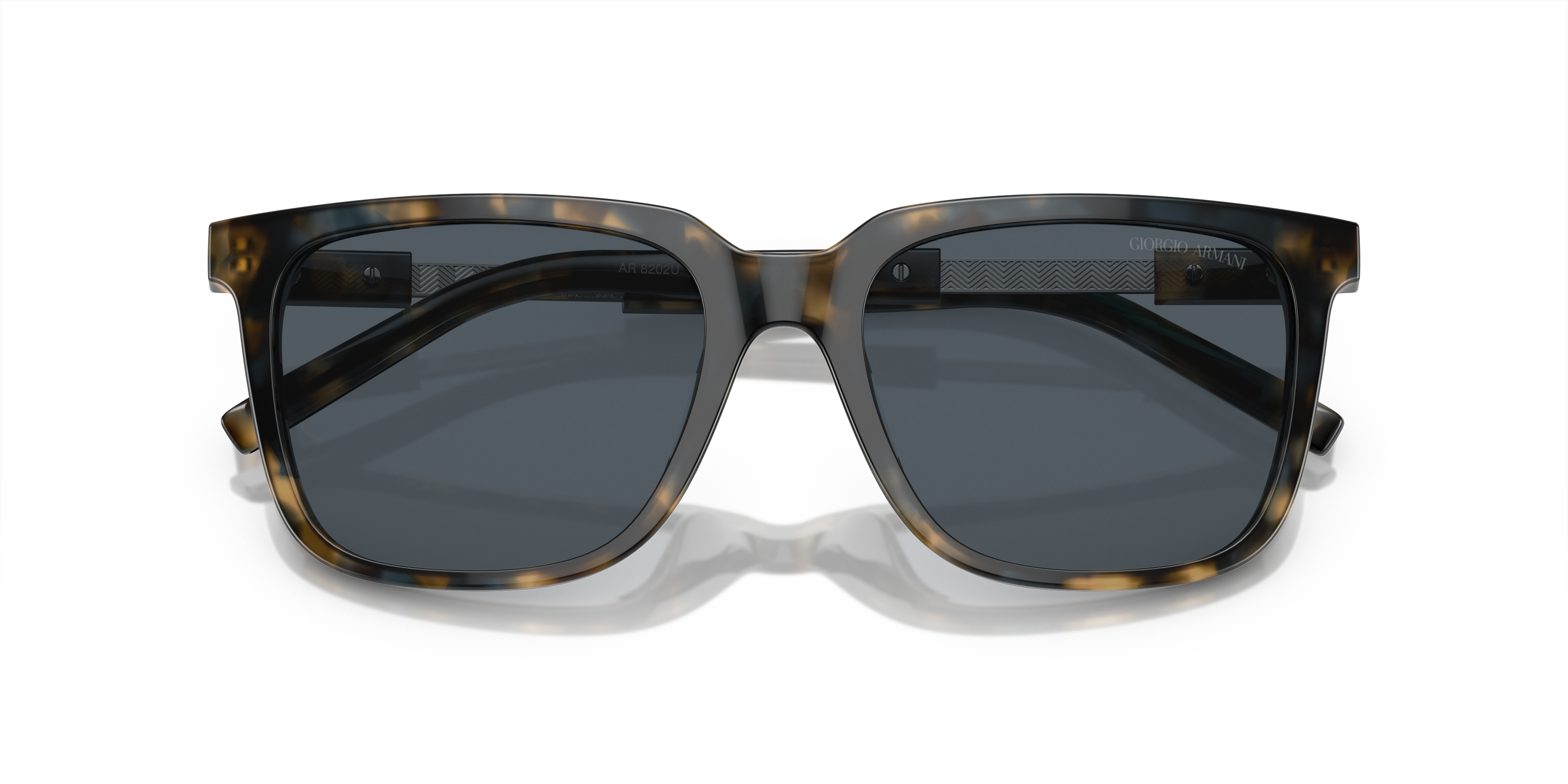 Giorgio Armani Sunglasses AR8202U 604887