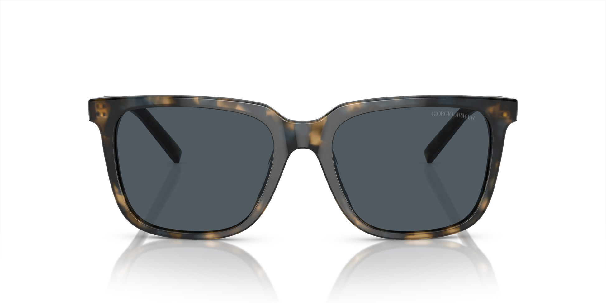 Giorgio Armani Sunglasses AR8202U 604887
