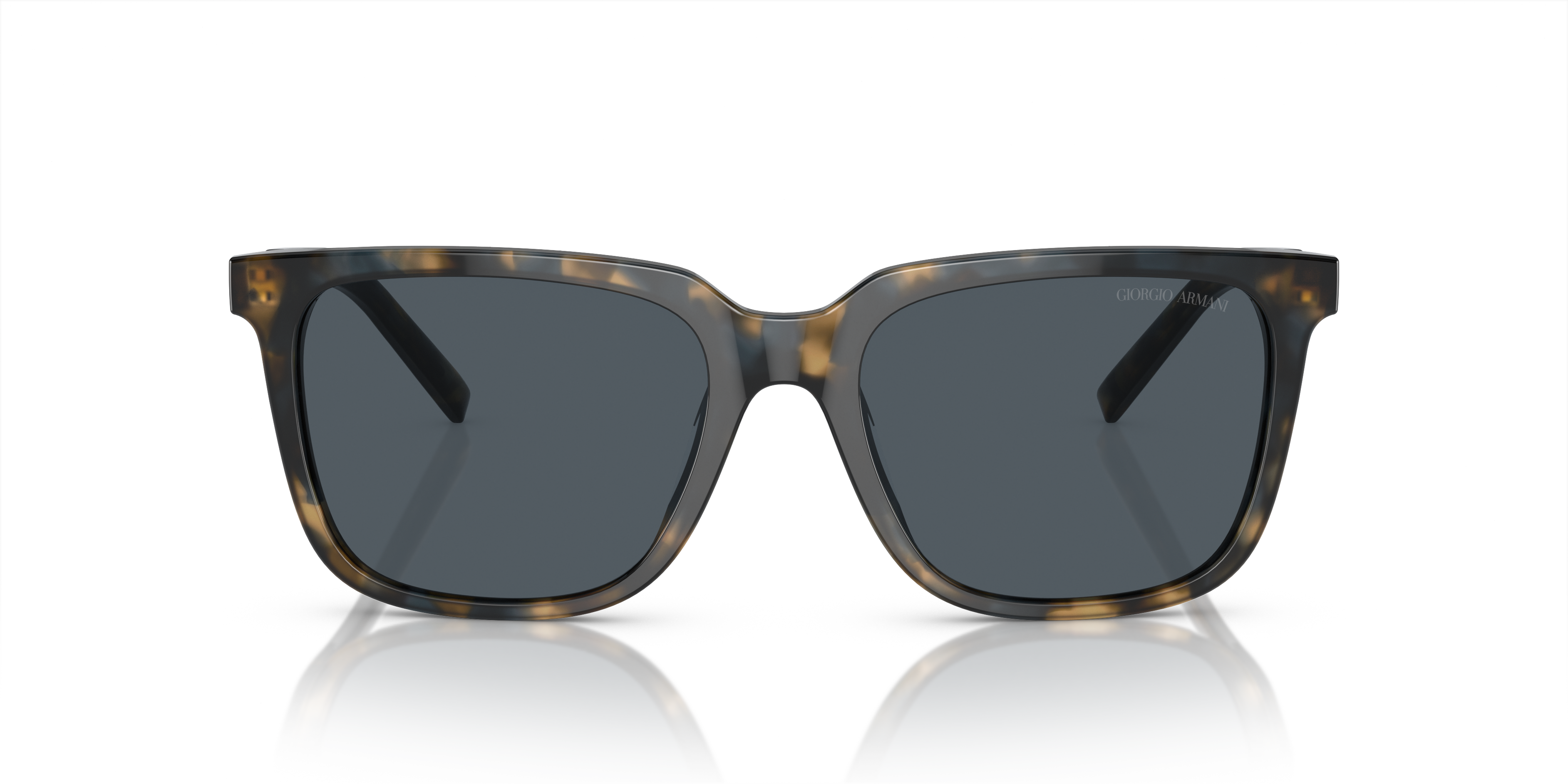 Giorgio Armani Sunglasses AR8202U 604887