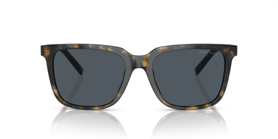 Giorgio Armani Sunglasses AR8202U 604887