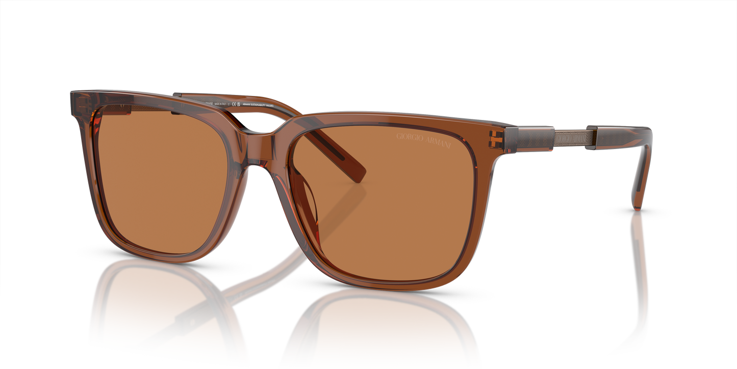 Giorgio Armani Sunglasses AR8202U 604973