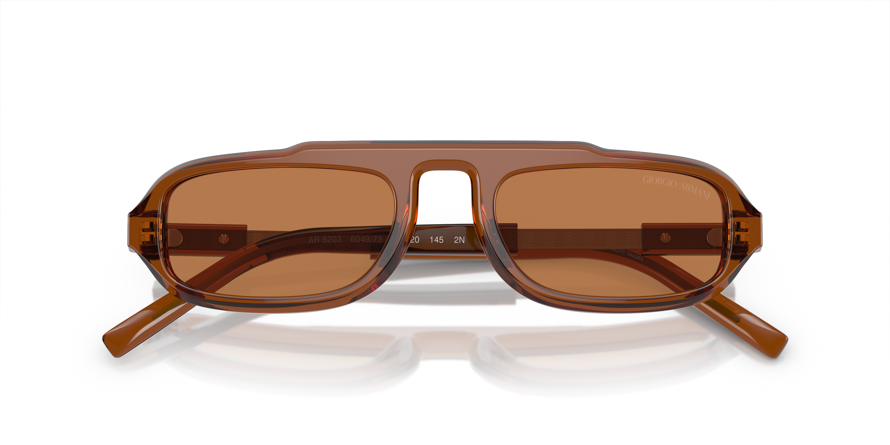 Giorgio Armani Sunglasses AR8203 604973