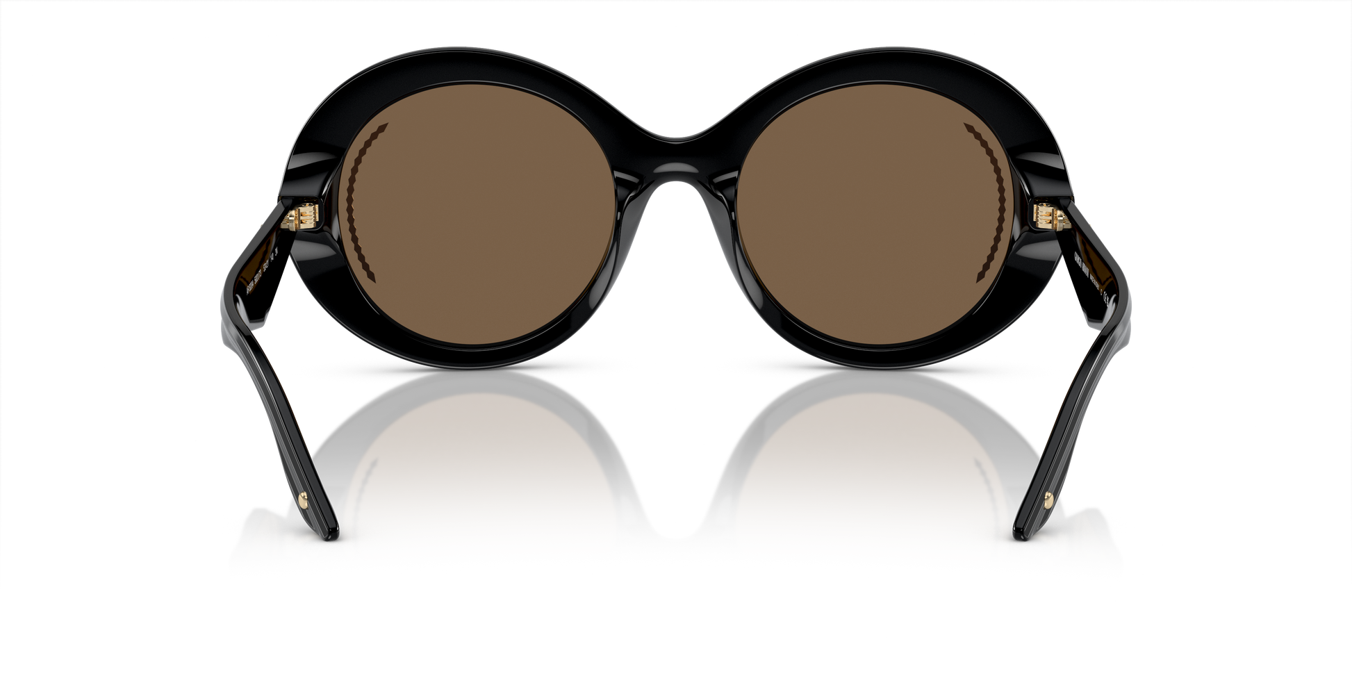 Giorgio Armani Sunglasses AR8204 500173