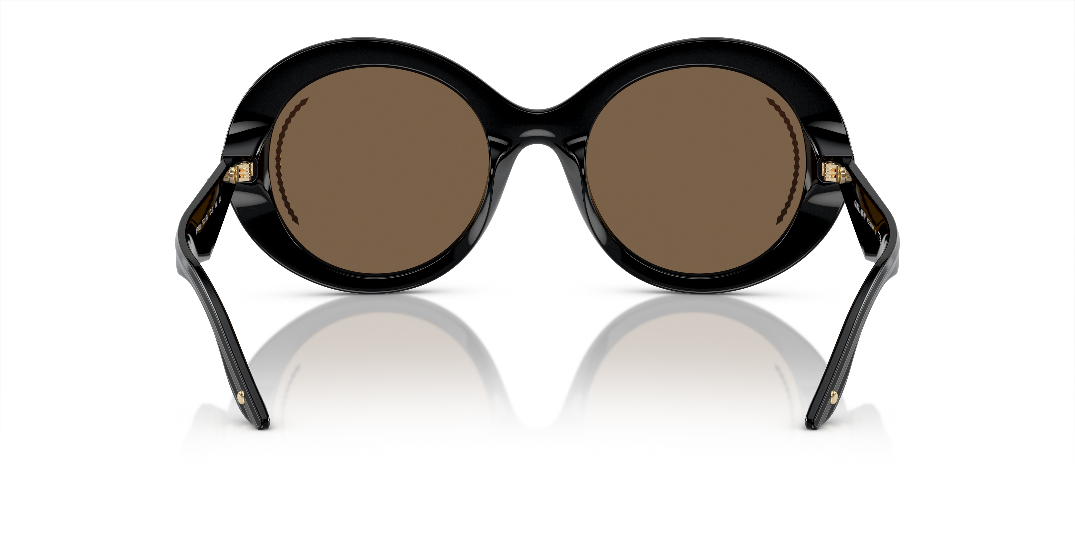 Giorgio Armani Sunglasses AR8204 500173