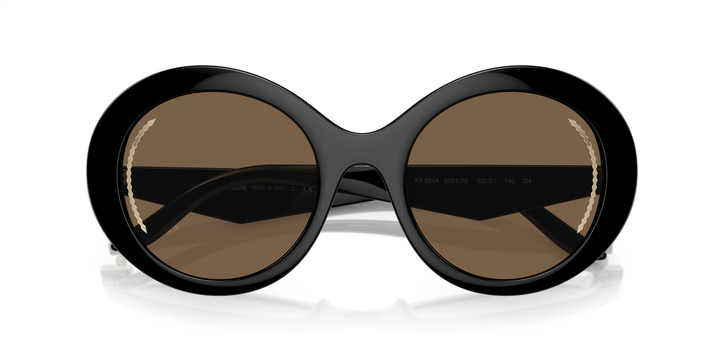 Giorgio Armani Sunglasses AR8204 500173